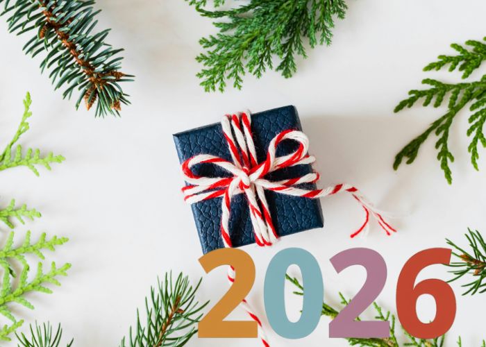 Happy New Year Celebration 2026 Image